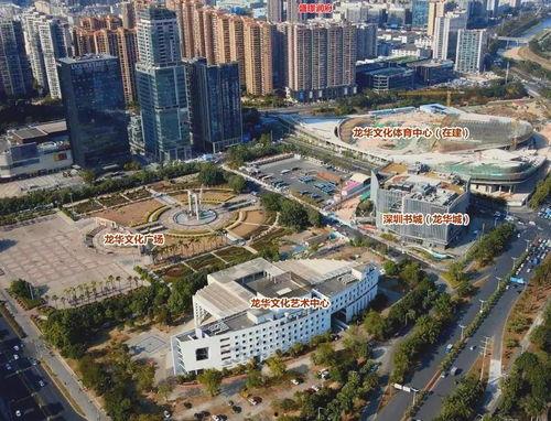 龙华大浪爆料最新消息今天,揭秘今日热点事件背后的真相